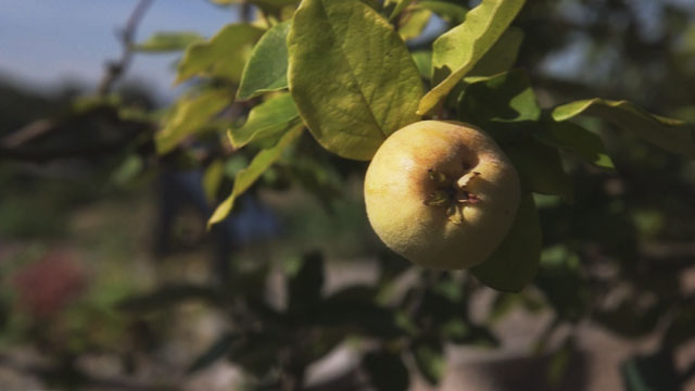 CityStream: Beacon Food Forest 4/9/2014