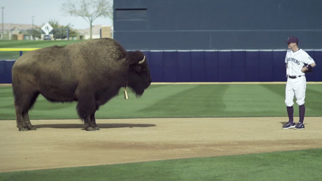 In Good Company: Copacino + Fujikado