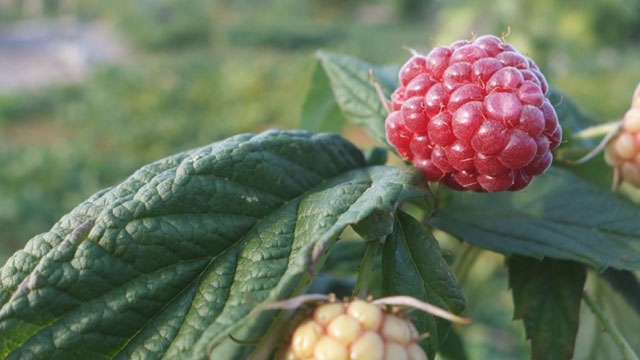 CityStream: Creativity & Recycling 4/9/15