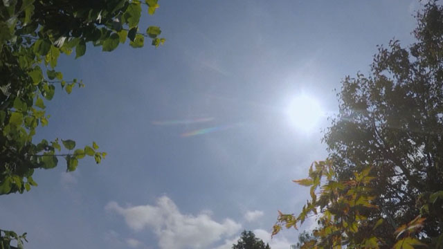 CityStream: Playtime and Sunshine 6/4/15