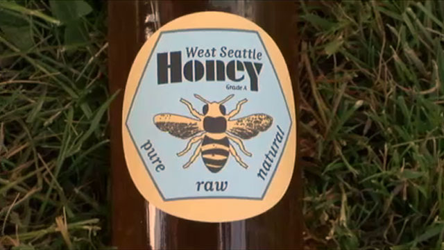 CityStream Splashback: Urban Beekeeping