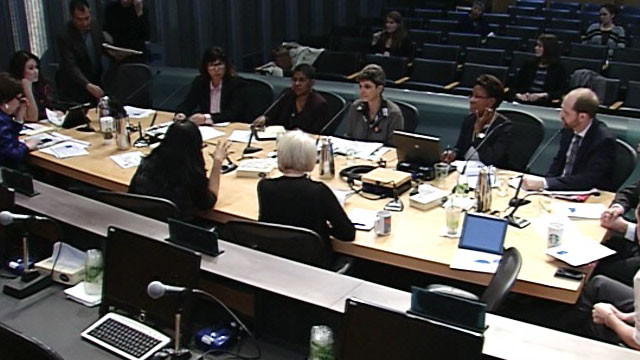 Gender Equity, Safe Communities & New Americans - Special Meeting 3/1/16