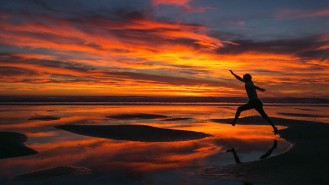 Town Square: Seattle Times Presents 2015 Pictures of the Year