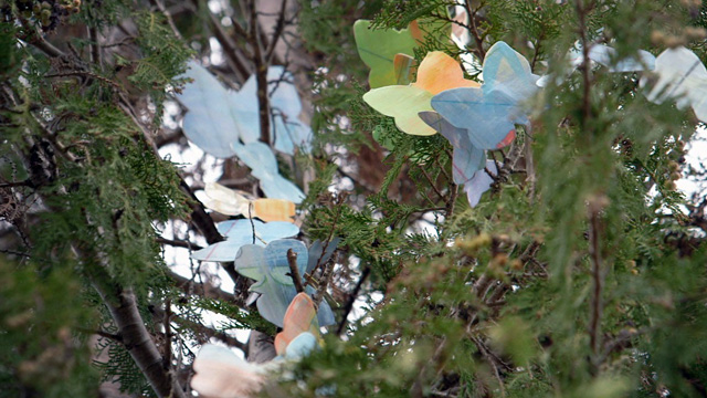 Art Zone: Lisa Quinn, Feet First Walking Program