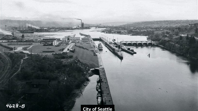 The Ballard Locks, 100 Years
