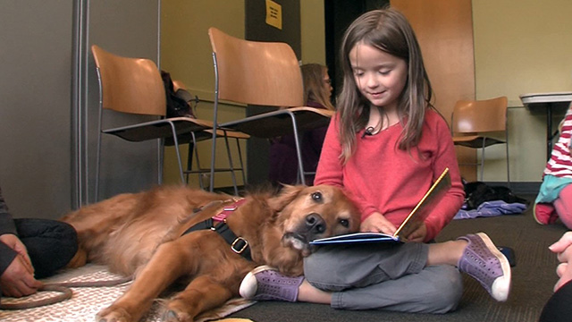 CityStream: Reading and Rebuilding