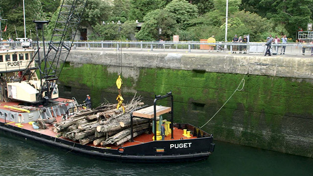 CityStream: Centennial Celebration