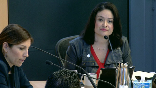 Gender Equity, Safe Communities, New Americans & Education Committee 4/20/18