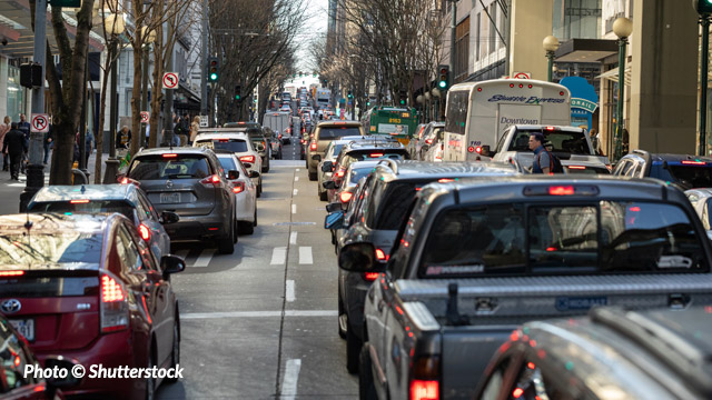 Seattle News Now 11/21/19