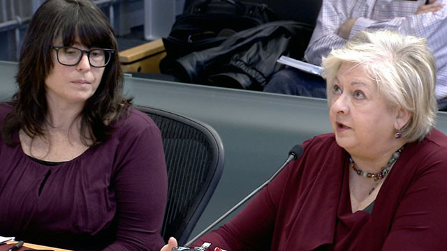 Planning, Land Use, and Zoning Committee Public Hearing 12/19/18