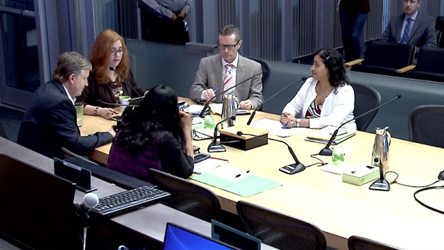 Civil Rights, Utilities, Economic Development & Arts Committee 1/25/2019