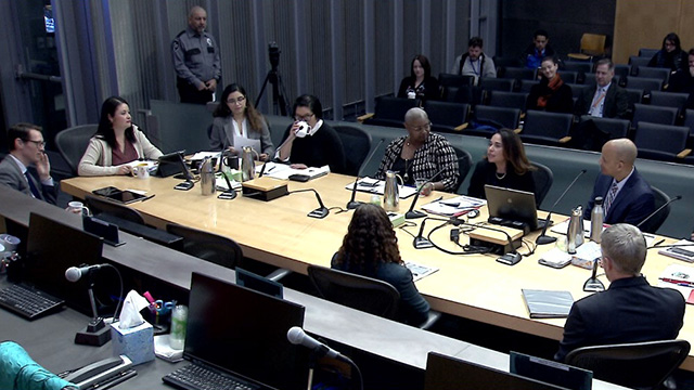 Gender Equity, Safe Communities, New Americans & Education Committee 3/13/19