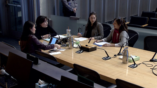 Civic Development, Public Assets, and Native Communities Committee 4/3/2019