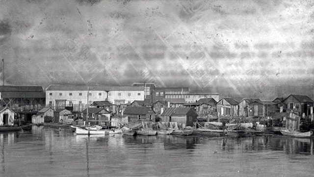 History of homelessness in Seattle CityStream: History of Homelessness in Seattle