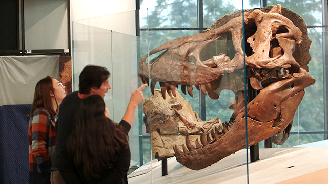 CityStream: The New Burke & Bean to Cup