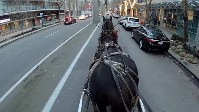 CityStream: Seattle's Last Carriage Ride Operator
