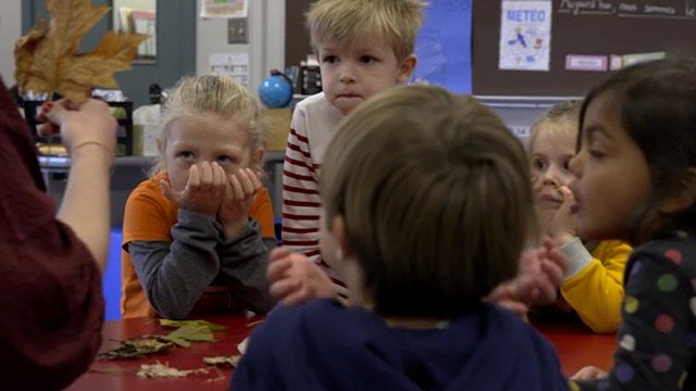 CityStream: Language Immersion