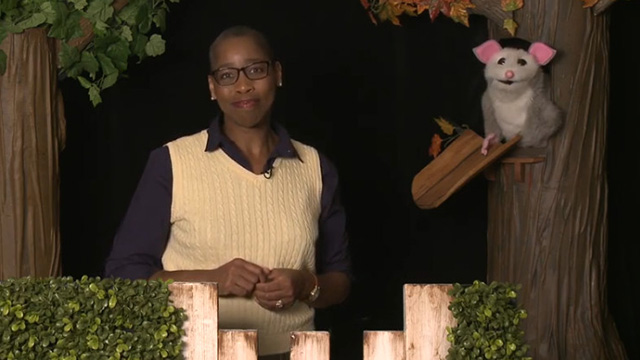 Look, Listen and Learn: Home