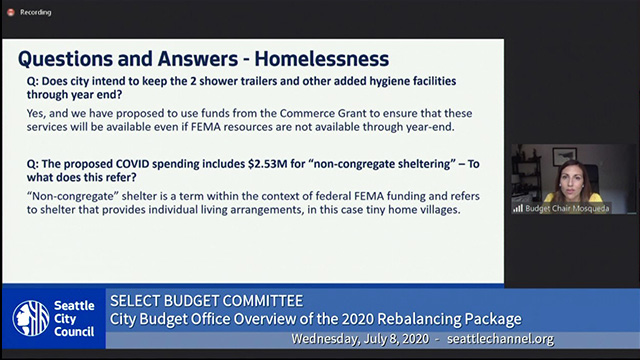 Select Budget Committee Session II 7/8/20