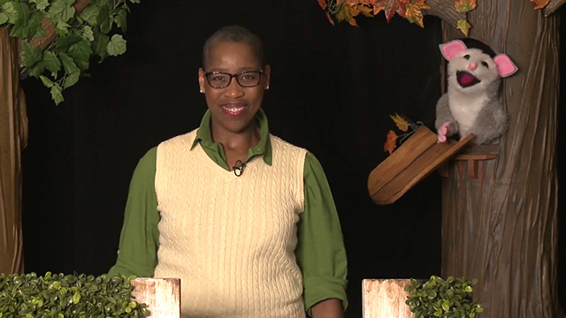 Look, Listen and Learn: Elders