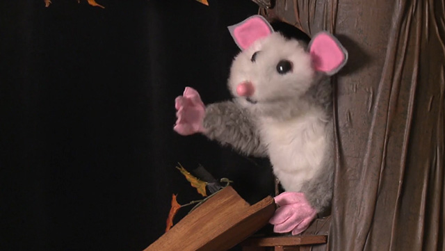 Look, Listen and Learn: Don’t Touch My Fur!