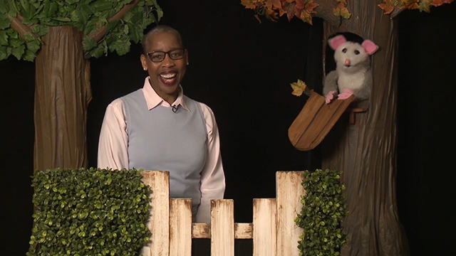 Look, Listen and Learn: The Community Garden