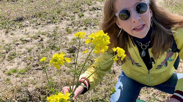 Art Zone with Nancy Guppy 4/23/21