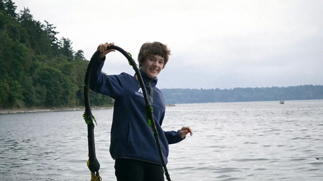 We Are Puget Sound: Marine animals & plastics don’t mix We Are Puget Sound: Marine animals and plastics don’t mix