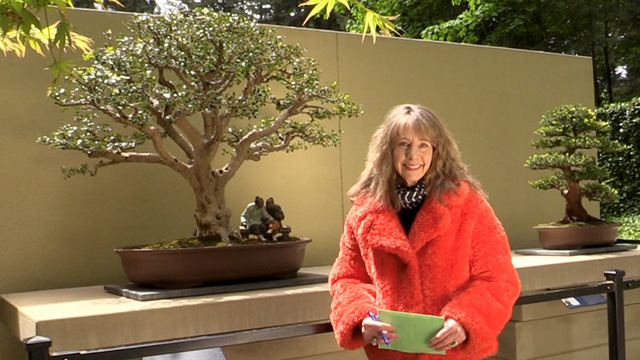 Art Zone with Nancy Guppy 5/20/22
