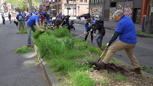 Thousands come together for One Seattle Day of Service