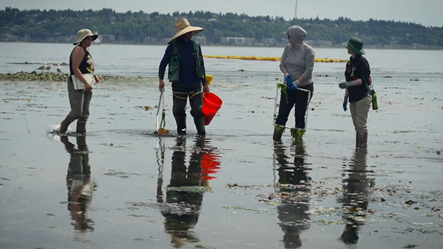 CityStream: Species Restoration, Battery Safety & Turning Down the Volume 