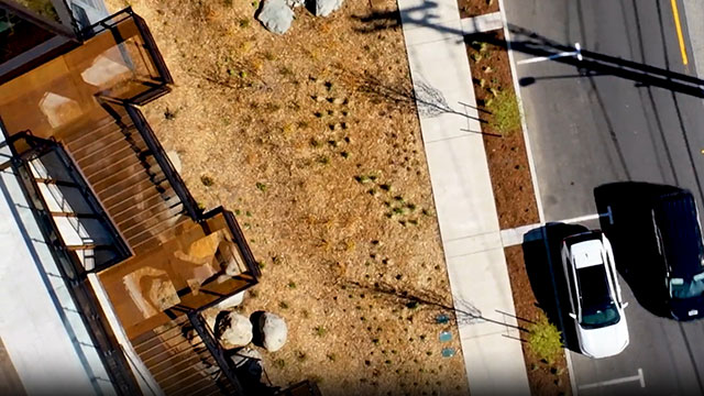 CityStream: Bioswales