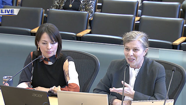 Sustainability, City Light, Arts & Culture 5/17/2024