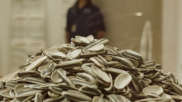 Art Zone: Ai Weiwei, Looking At “Sunflower Seeds”