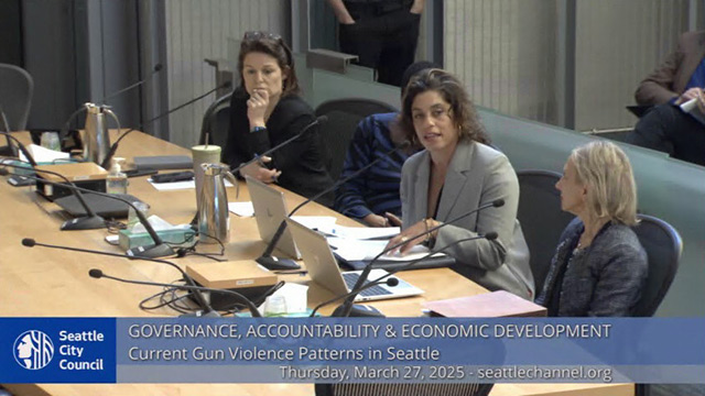 Governance, Accountability and Economic Development Committee 3-27-2025