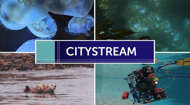 CityStream: 10-27-26